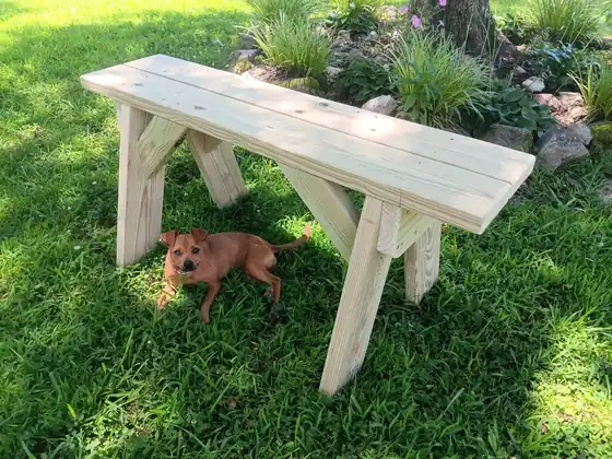 A plank bench on the grass with a brown dog resting underneath it