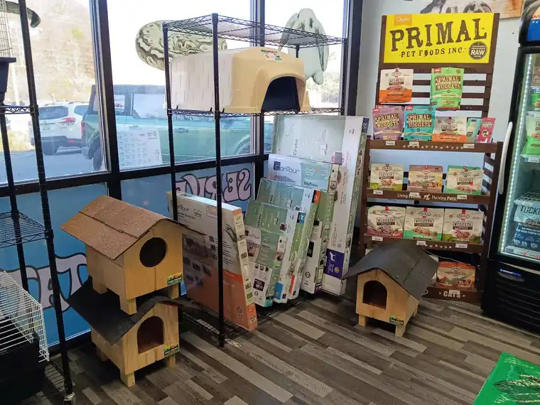 Cat houses