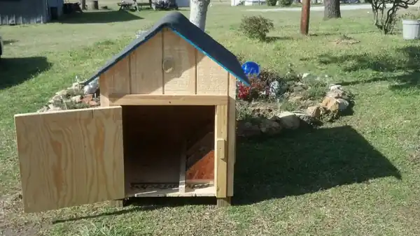 5 Signs Your Dog House Is Not Weatherproof