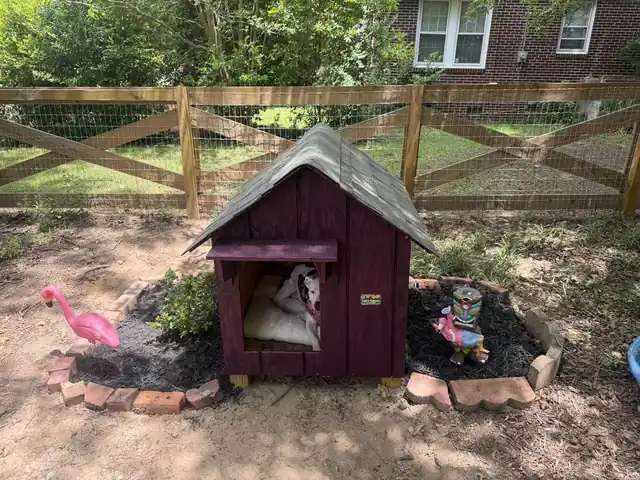 Dog houses