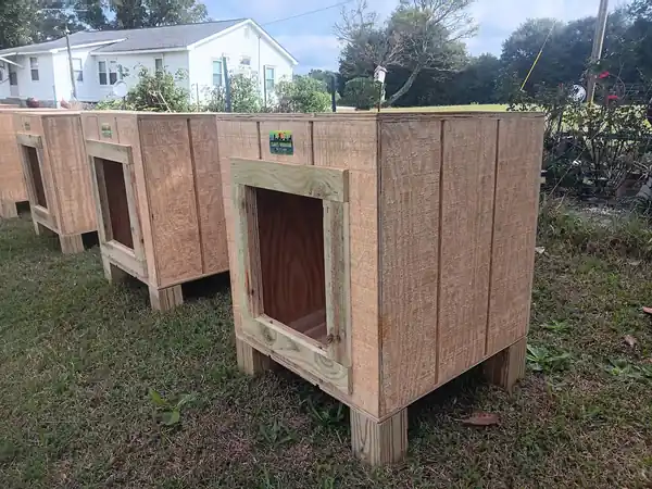 A row of rough-sawn plywood dog houses lined up outside, each with a wide framed doorway