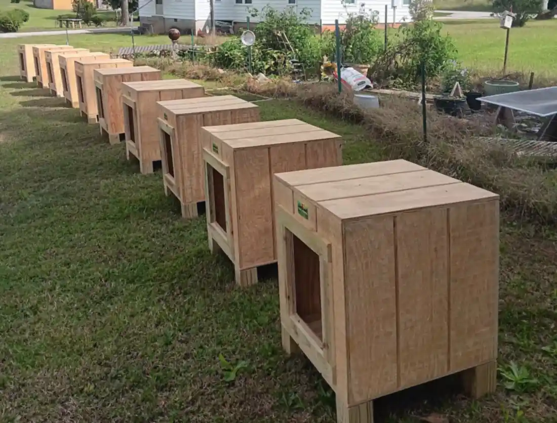 A row of seven box-style Clark's pet houses receding across a Georgia lawn toward a white farmhouse