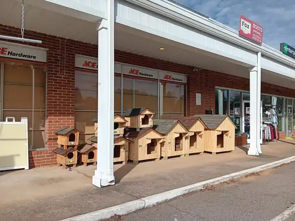 Six Clark's Woodwork pet houses of graduated sizes lined up in front of an Ace Hardware store