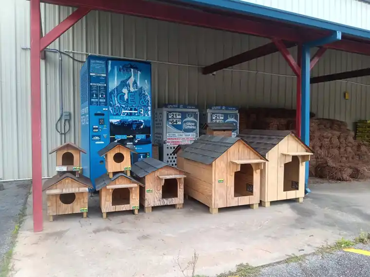 How to Choose the Right Dog House Size